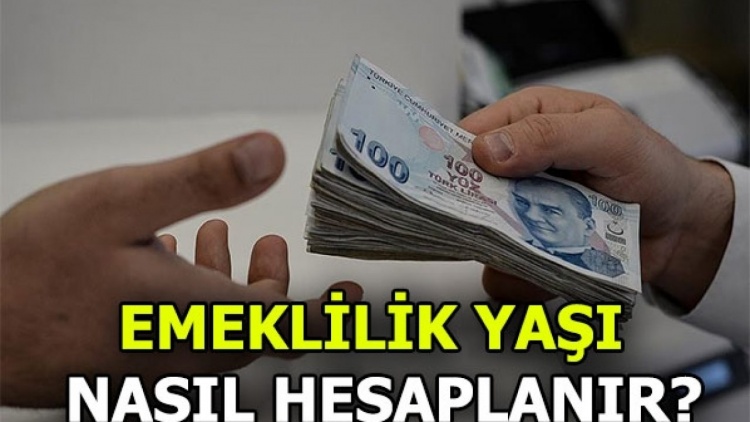 emeklilik_yasi